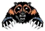North Stafford High School logo