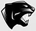 Potomac Falls High School logo
